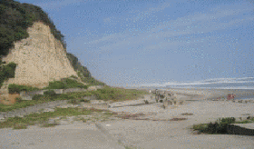 海食崖と化石
